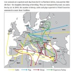 Mapa s hlavními trasami exportů s hospodářskými zvířaty do zemí mimo EU. Z publikace Animals´ Angels „The Myth of Enforcement“, 2016