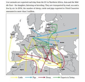 MAPA exportu HZv z EU