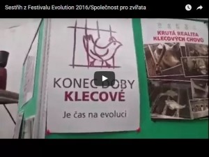 banner_sestrih_evolution_festival_2016